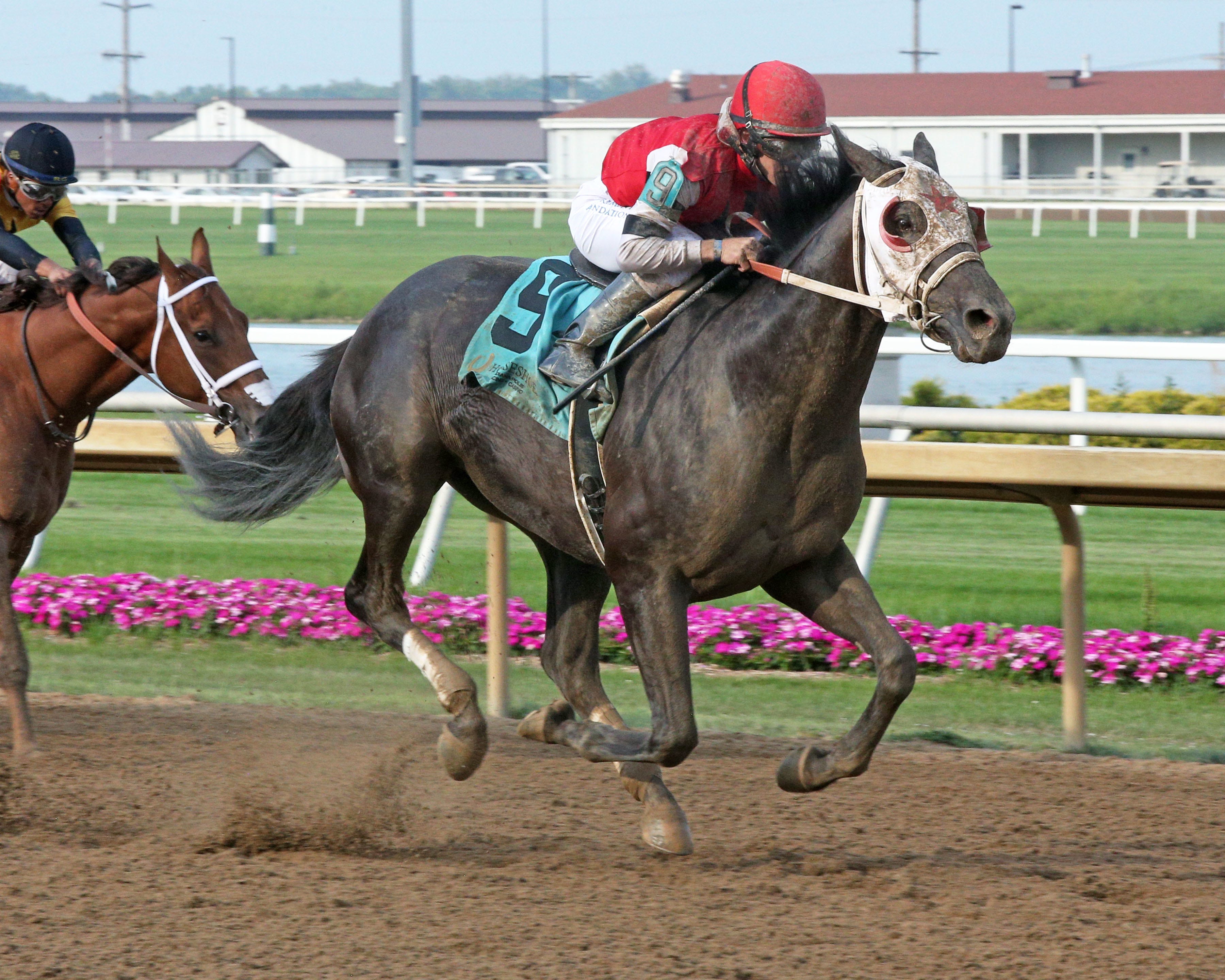 King Ice should get plenty of pace in To Much Coffee